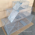 Nieuwe aankomst Hot Sale of Animal Trap Cage